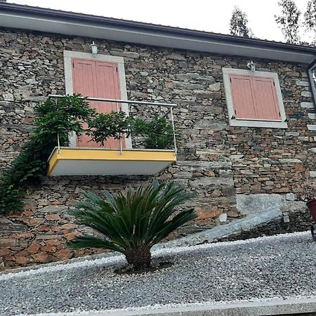 Casa Da Tia Bina Villa Castelo de Paiva Eksteriør billede