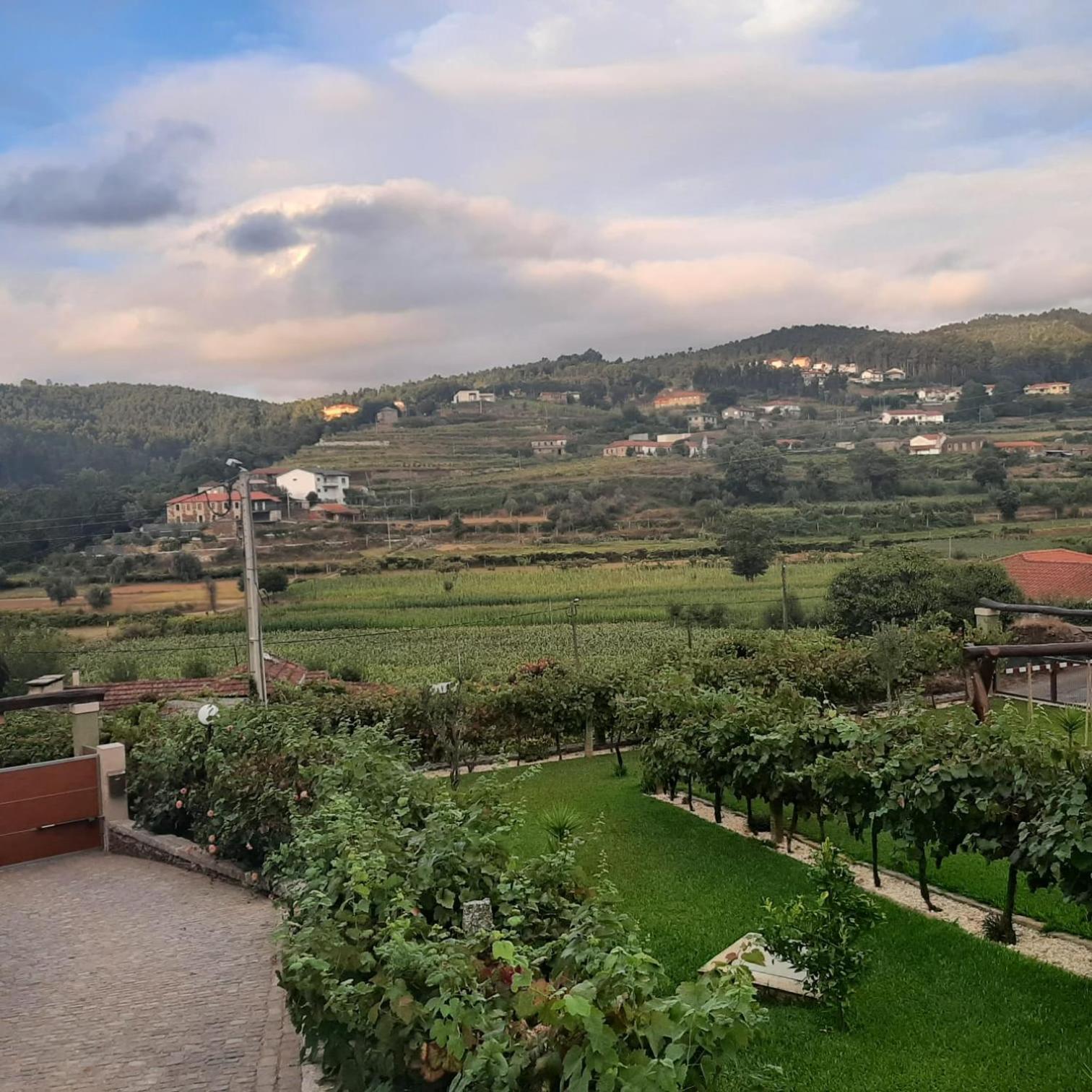 Casa Da Tia Bina Villa Castelo de Paiva Eksteriør billede